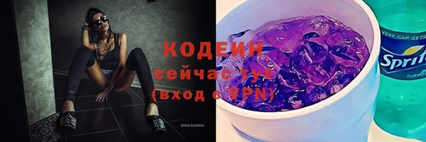 прущий лед Пестово